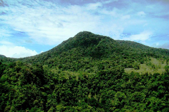 Arenal 12 Zipline Cables Experience With La Fortuna Waterfall - Safety Measures in Place