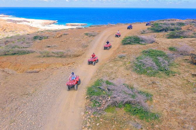 Aruba ATV Adventure: Off-Road Tour in Single and Double Seaters - Animal Sanctuary Encounter