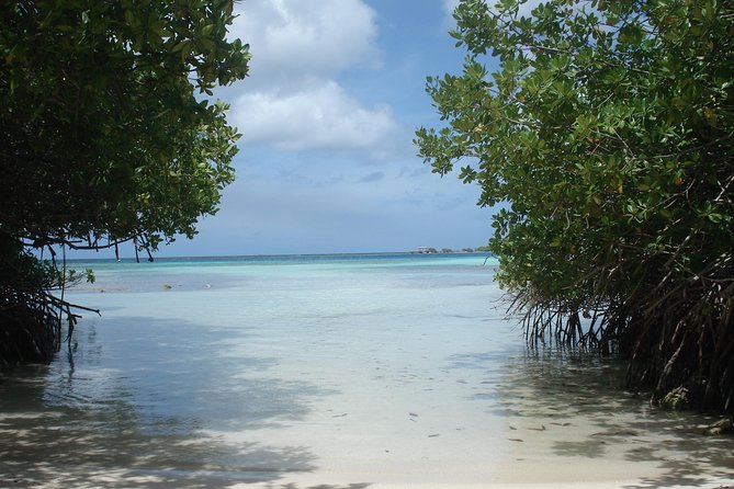 Aruba Mangel Halto and Baby Beach Snorkeling Guided Tour - Recommendations
