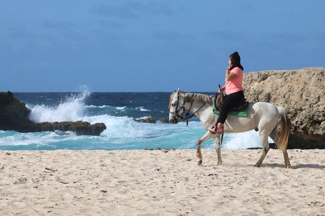 Aruba North Coastline: Small-Group Horseback Riding Tour - Restrictions and Limitations