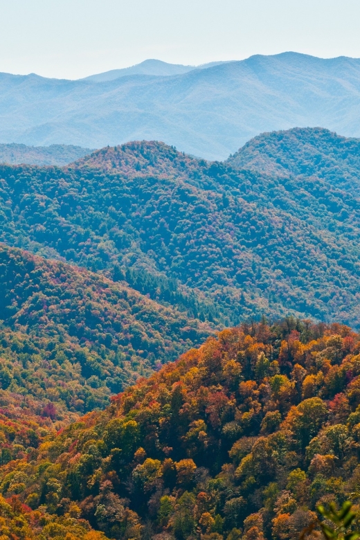 Asheville: Blue Ridge Mountains Tour for Children! - Important Information