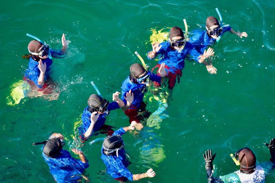 Auckland: Guided Snorkeling Tours - Marine Biologists as Guides