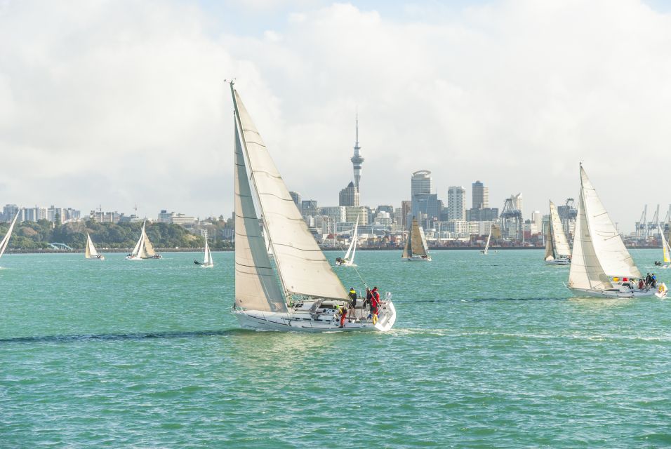 Auckland Scenic Half-Day City Sightseeing Tour - Experience Overview