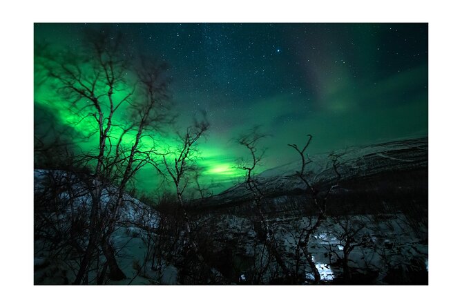 Aurora Borealis Tour Kiruna - Abisko With Local Street Food - Additional Activities in Kiruna