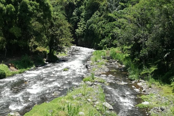 Ayung Rafting Ubud (Include Lunch & Return Transportation) - Cancellation and Guarantee Policy