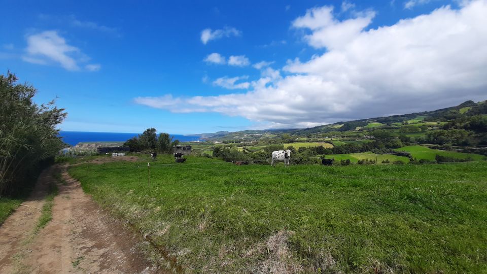 Azores: Hike on São Miguel and Snorkeling With a Local - Transportation and Pick-up/Drop-off