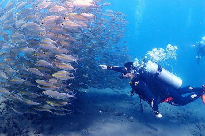 Bali Diving for Beginners: Tulamben Liberty Wreck - Diving Equipment Provided