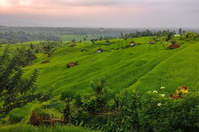 Bali Instagram Tour - Lempuyang Bali Gate of Heaven - Choosing Tour Options