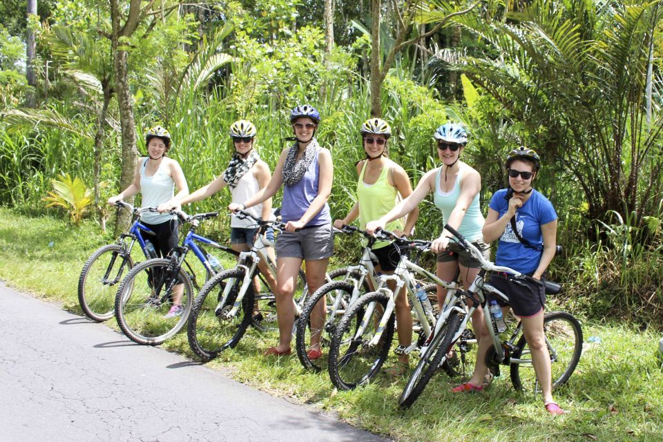 Bali: Jatiluwih Rice Terraces 1 Hour Electric Bike Tour - Customer Reviews