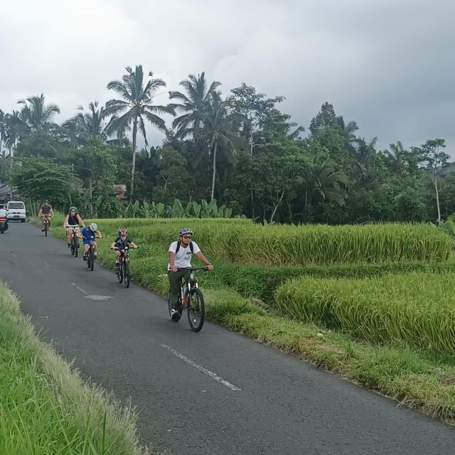 Bali Natural Downhill Cycling Tour and Visit Batur Volcano - Tour Duration and Pricing