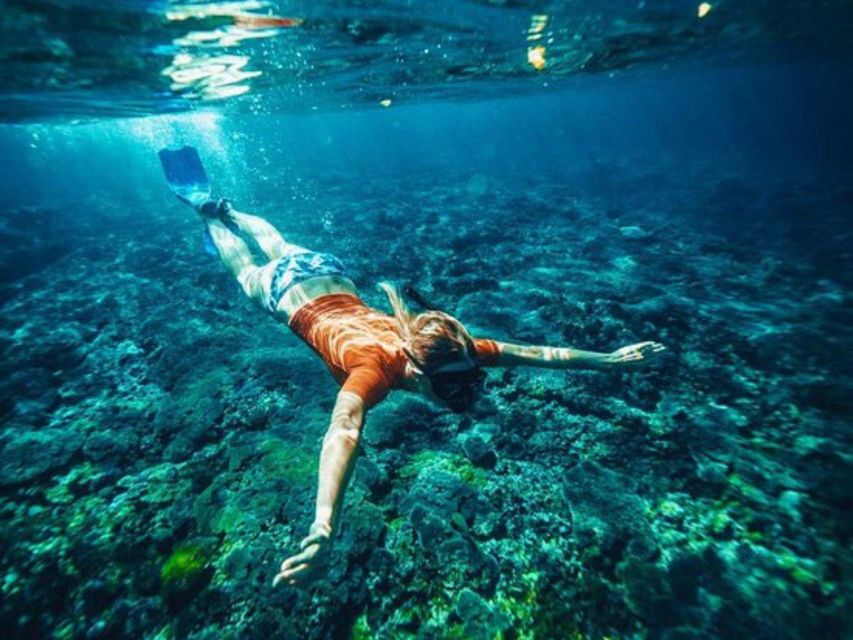 Bali: Snorkeling on 2 Spots With Lunch and Transport - Coral Reefs at Blue Lagoon