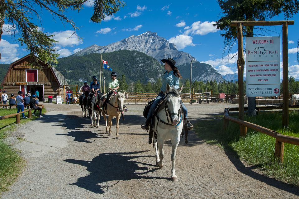 Banff: 3-Hour Bow Valley Loop Horseback Ride - Ride to Windy Knoll Viewpoint