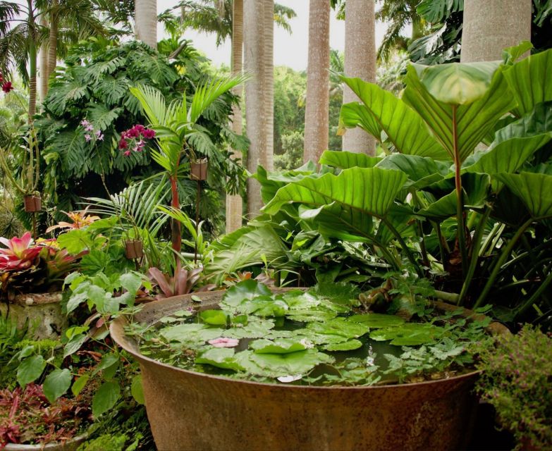 Barbados: Tour of Harrisons Cave & Huntes Gardens - Landscaped Gully Enchantments