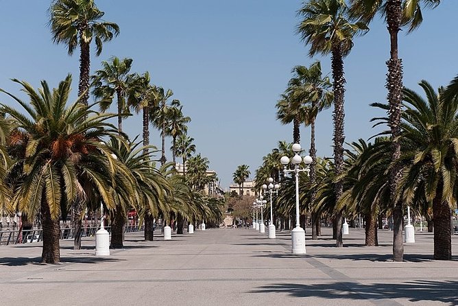 Barcelona Half-Day Sightseeing Private Tour - Pickup and Drop-off