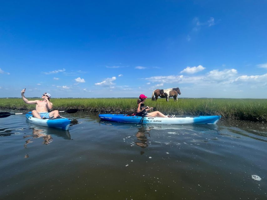 Berlin: Assateague Island Wildlife Discovery Kayak Tour - Booking and Cancellation