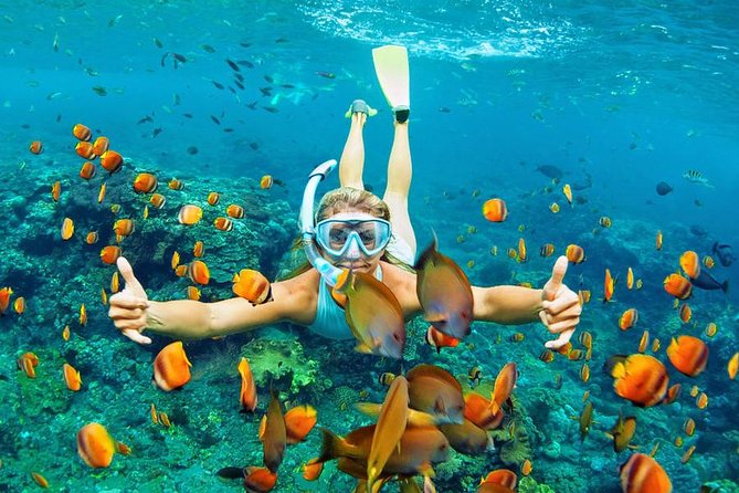 Best Snorkeling Trip at Blue Lagoon Bali - Tips for a Successful Trip