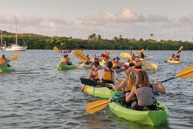 Bio Bay Night Kayaking With Transport From San Juan Area - What to Bring