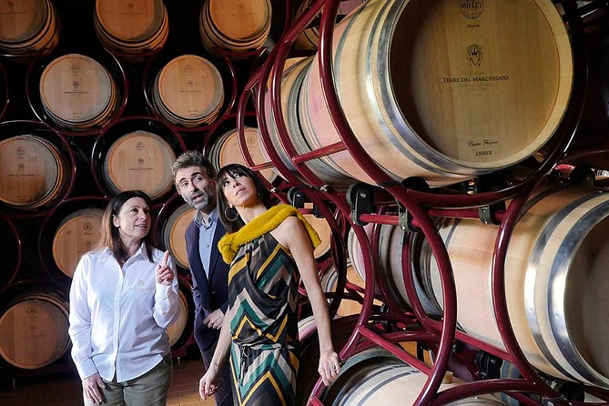 Bolgheri: Classic Wine Tasting With Winery Tour - Exceptional Customer Experiences