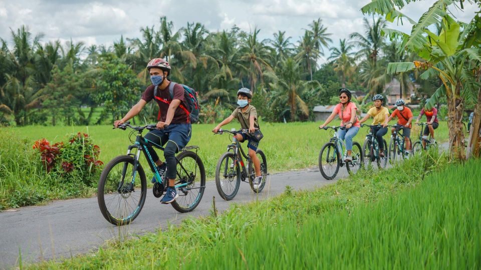 Borobudur Village Cycling and Temple Tour With Transfer - Pricing for Borobudur