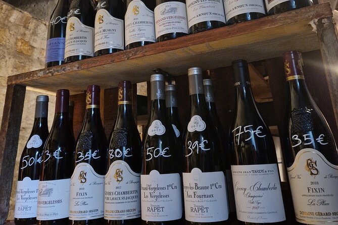 Burgundy Wines Masterclass in Dijon - Private Tour and Participation