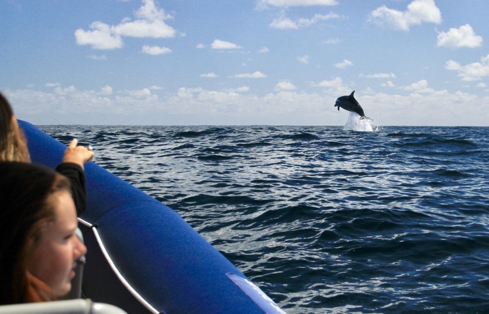 Byron Bay: Cruise With Dolphins Tour - Restrictions