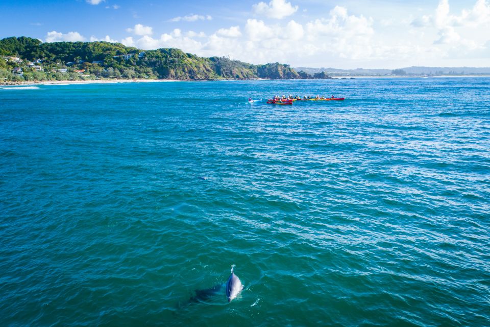 Byron Bay: Sea Kayak Tour With Dolphins and Turtles - Safety Briefing