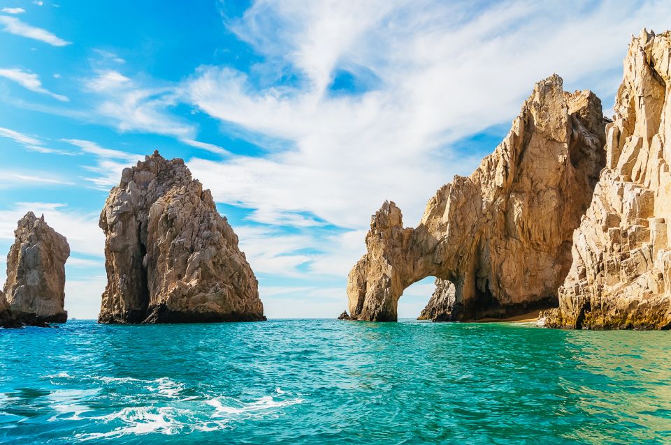 Cabo San Lucas: Whale Watching Catamaran Experience - Cancellation and Refund Policy