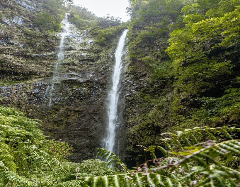 Caldeirão Verde Levada: Roundtrip Transfer & Hike - Suitability and Restrictions