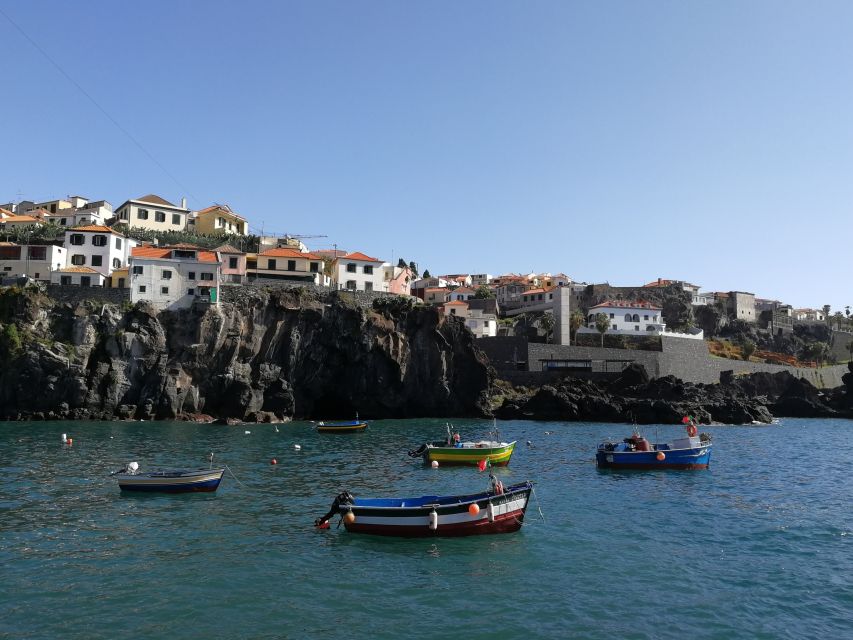 Camara De Lobos: 1.5-Hour Tour in a Tuk Tuk - Scenic Highlights of the Tour