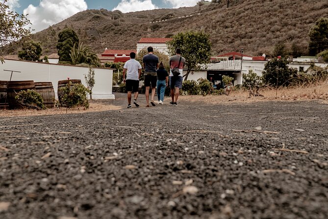 Canarian Wine Experience at Bodega Los Lirios - Inclusions and Pricing