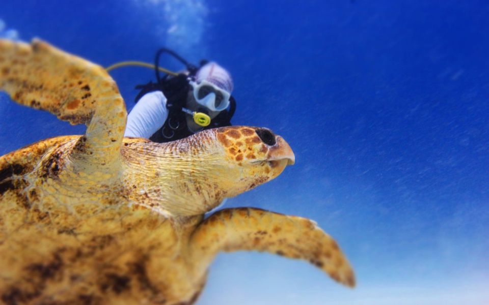 Cancún/Playa Del Carmen: Maroma Beach Advanced Diving Trip - Participants Own Scuba Gear