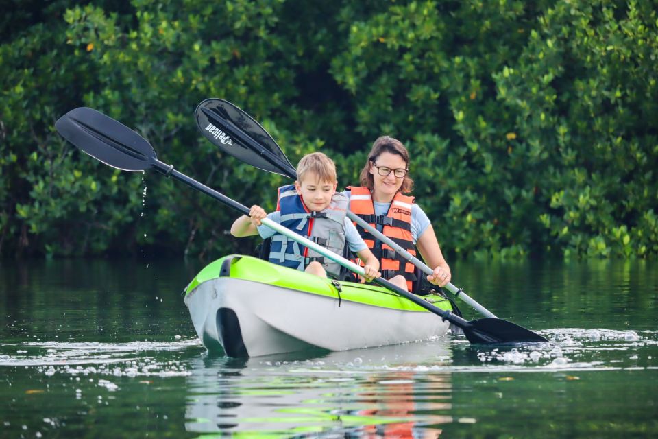 Cancun: Sunset Kayak Experience in the Mangroves - Guided Tour and Kayaking