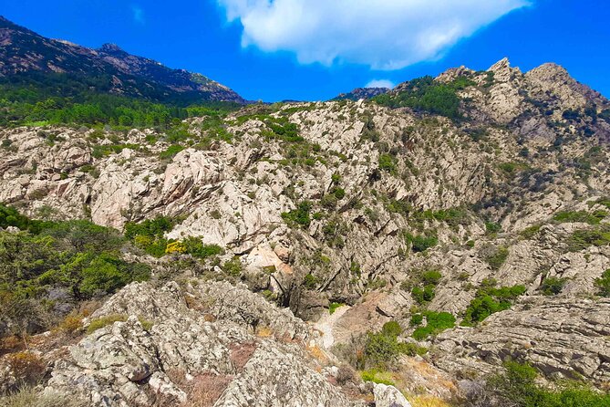 Canyoning in Rio Pitrisconi and Monte Nieddu in San Teodoro - Important Safety Considerations