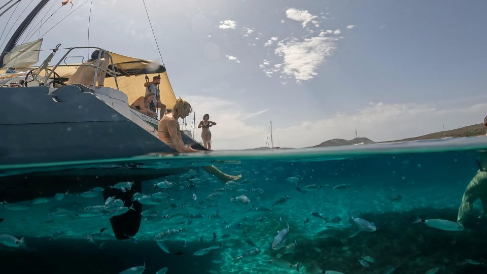 Catamaran Tour in the Asinara Island National Park - Meeting Point Location