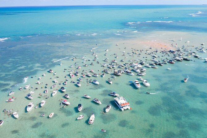 Catamaran Trip to Areia Vermelha Island With Transfer - Highlights From Traveler Reviews