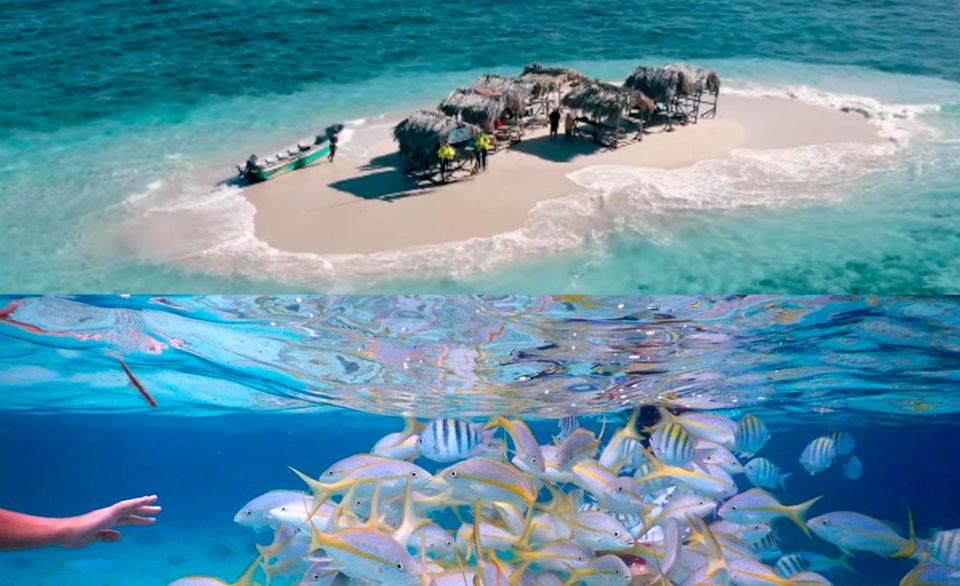 Cayo Arena: Paradise Island and Mangroves Tour - Flexible Cancellation Policy