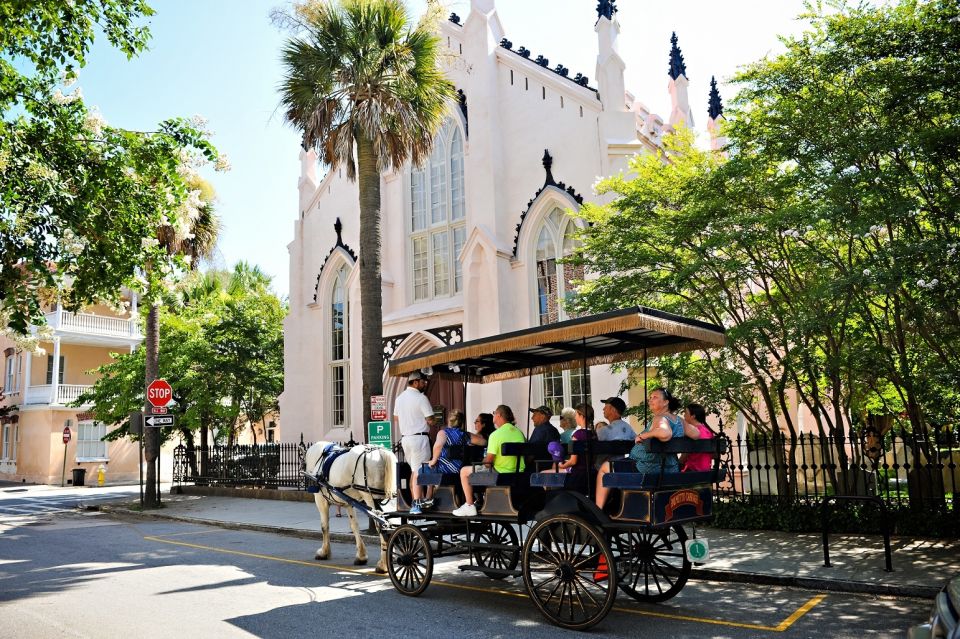 Charleston: 1-Hour Carriage Tour of the Historic District - Learning About the Citys Architecture