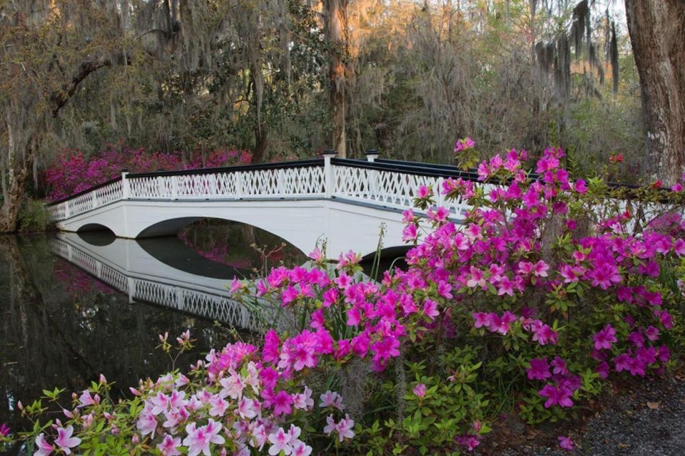 Charleston: Historic City Tour & Magnolia Plantation Combo - Tour Duration and Logistics