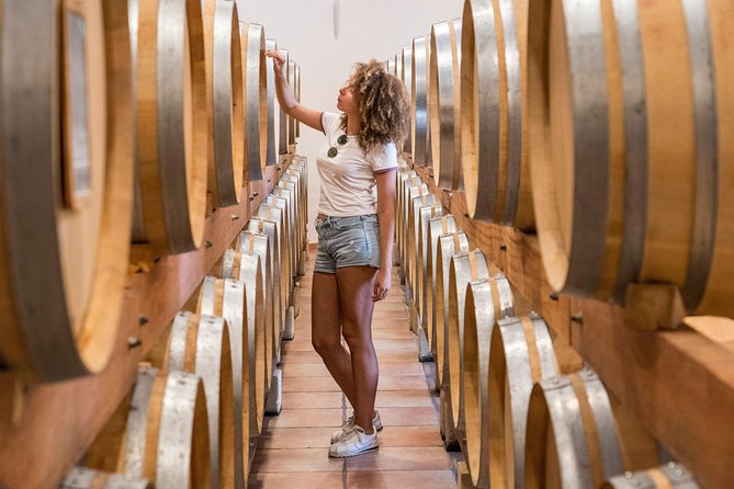 Chateauneuf-Du-Pape Prestige Wine Tour From Avignon - Guided Tours and Tastings