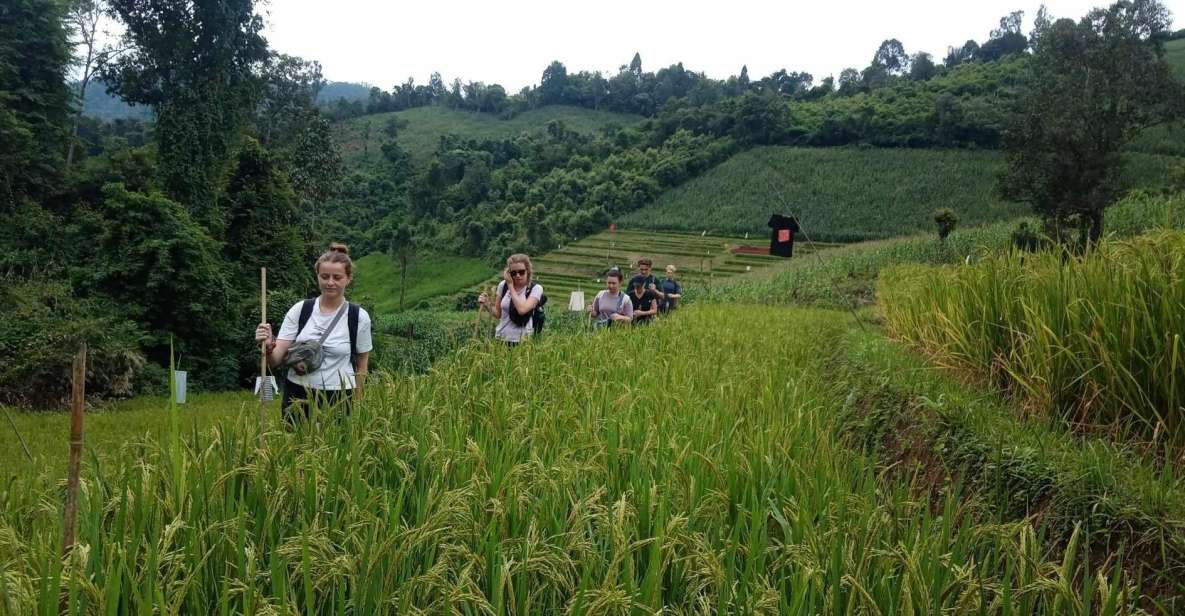 Chiang Mai: 2-Day Jungle Trek With Elephant Farm & Raft Ride - Karen Hill Tribe Village