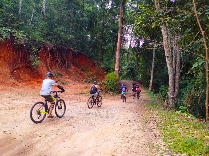 Chiang Mai: 20km Downhill Mountain Biking Challenge Suthep Mountain - Scenic Views and Landscapes