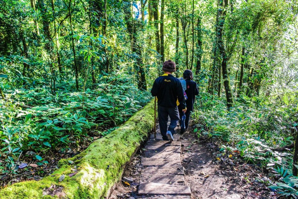 Chiang Mai: Doi Inthanon, Waterfalls, & Tribal Villages Tour - Doi Inthanon National Park