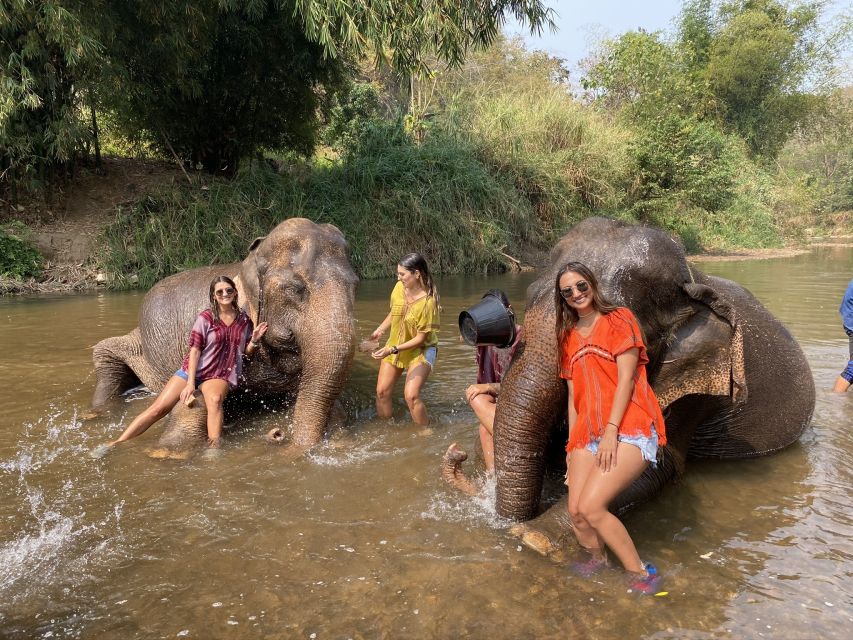 Chiang Mai: Elephant Sanctuary and Sticky Waterfall Tour - Tour Pricing