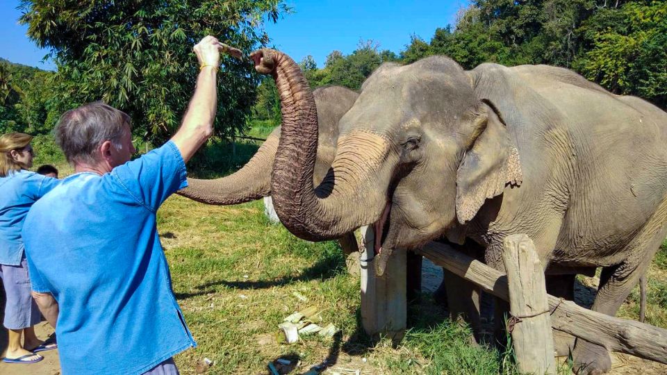 Chiang Mai: Elephant Sanctuary Guided Tour in English - Hotel Pickup and Drop-off