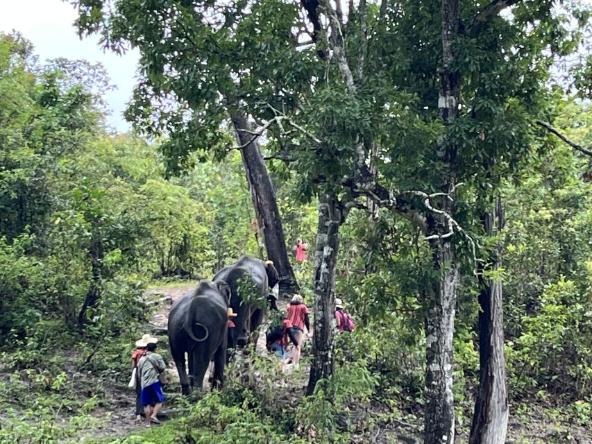 Chiang Mai: Elephant Sanctuary & Waterfall Group Tour - Exploring Mae Wang Waterfall