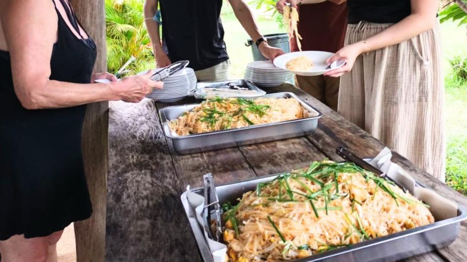 Chiang Mai: Elephant Sanctuary With Lunch Day Tours - Rescue and Care of Elephants