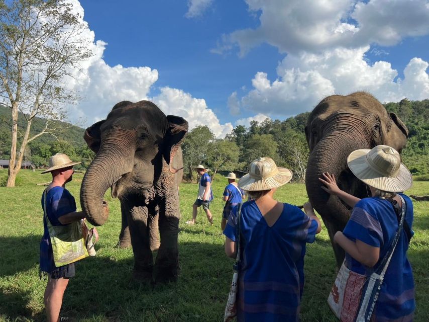 Chiang Mai: New Elephant Home Walking With Giants Tour - Making Vitamin Balls for Elephants