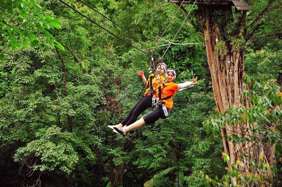 Chiang Mai: Pongyang Jungle Coaster & Zipline With Transfer - Scenic Jungle Canopy