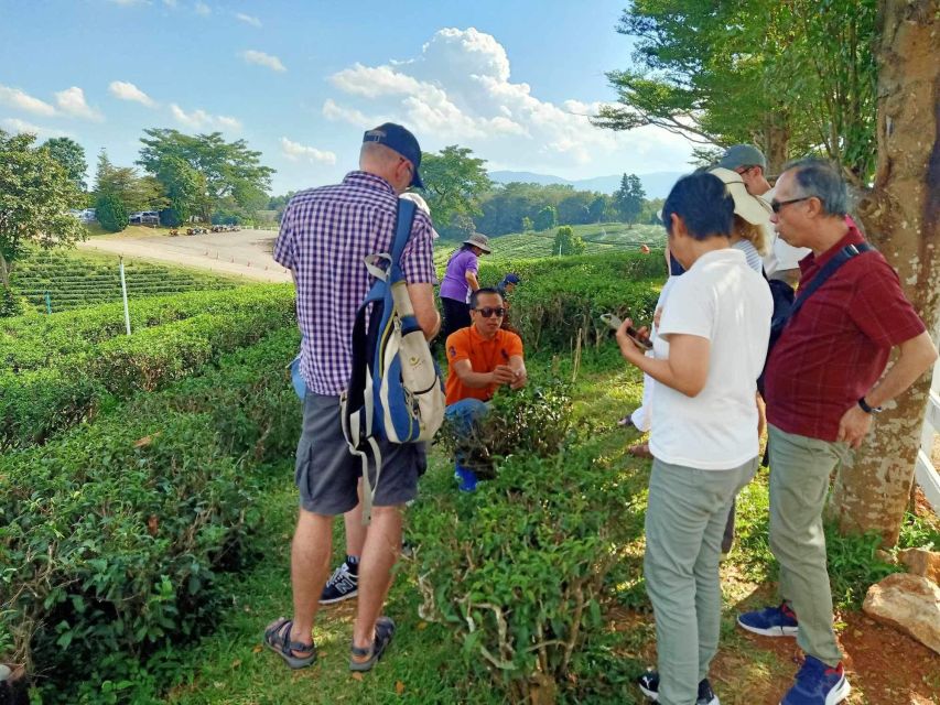 Chiang Rai: Popular Sightseeing Tour 7 Places , Buffet Lunch - Baan Dam Museum