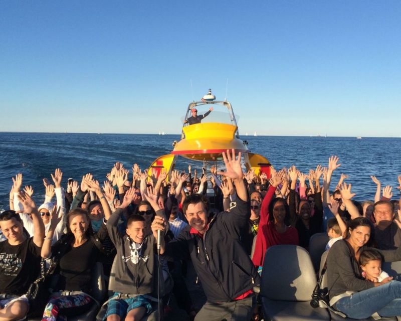 Chicago: Seadog Speedboat Fireworks Cruise on Lake Michigan - Professional Guides Narration